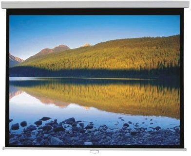 מסך הקרנה ידני SinoScreen 305x305 ס"מ 1:1
