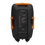 בידורית בלוטוס ניידת + זוג מיקרופונים Pure Acoustics דגם PMW4415