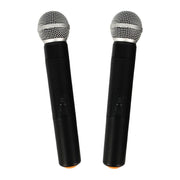 בידורית קריוקי QL-Milano QL710 600W