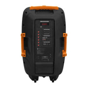 בידורית עם 2 מיקרופונים Pure Acoustics דגם PMW4412