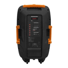 בידורית עם 2 מיקרופונים Pure Acoustics דגם PMW4412