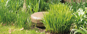 סאבוופר גינה קבור Monitor Audio דגם Climate Garden CLG-W12