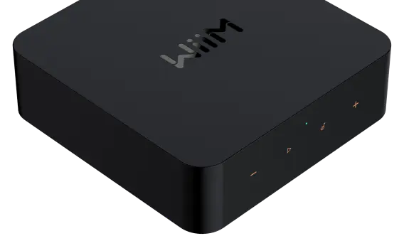סטרימר אודיופילי WiiM Pro Plus