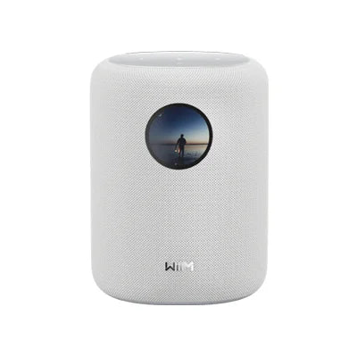 רמקול חכם עם מסך WiiM Sound